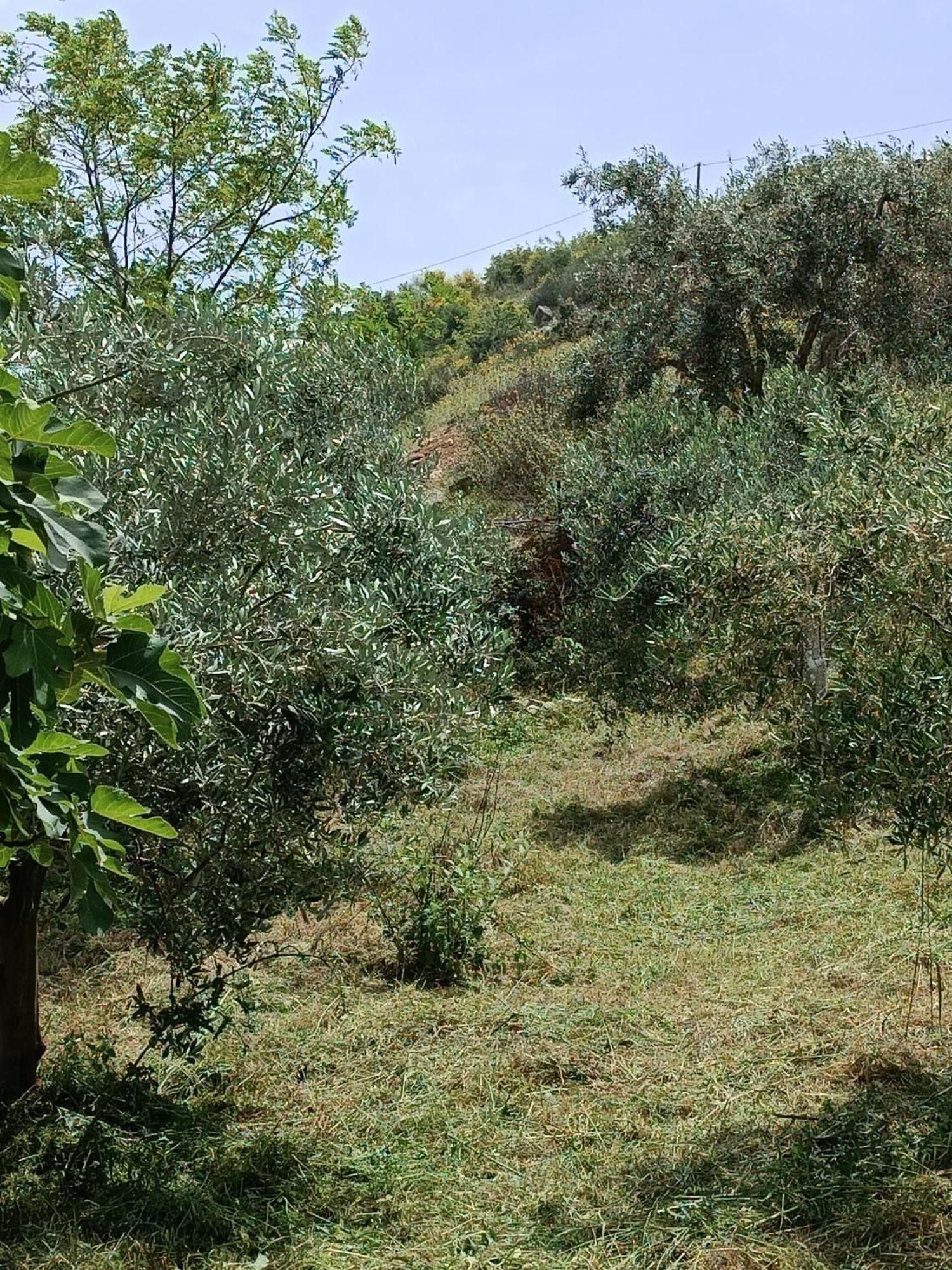 Gusto Di Casa *